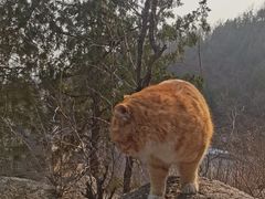 -北京凤凰岭
