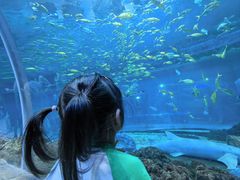 -华夏文旅海洋公园