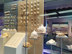 -上海中国航海博物馆