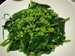 豌豆尖-甄御•海鲜新青岛菜(麦岛店)