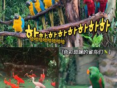 -广州长隆野生动物世界