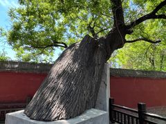 -天宁寺