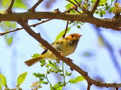 -白鹭湾湿地公园