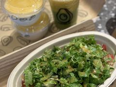 -油梨树AVOCADO TREE(嘉里中心店)