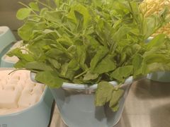 -屋头串串(临江路店)