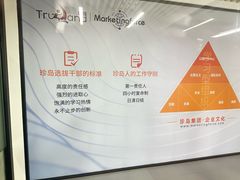 -珍岛信息技术（上海）股份有限公司