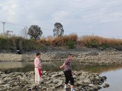 -东海岛旅游度假区