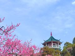 -无锡梅园公园