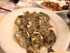 梅孑蒸泥猛-宜宾海鲜酒家·三十年老字号