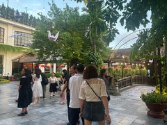 -河内西湖莲花自助餐厅