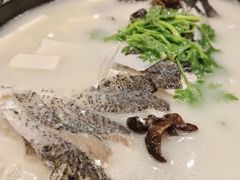 -老淳安—伴山伴湖(千岛湖开元度假村店)