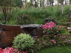 -南京外国语学校(仙林分校西区)