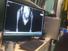 -雨林宠物医院 非犬猫异宠专科