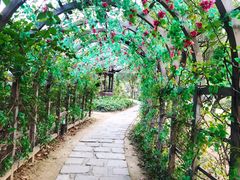 -南沙蒲洲花园