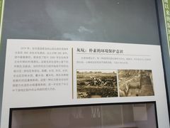 -同里国家湿地公园