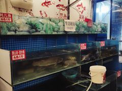 -费明中罗非鱼(大石坝店)