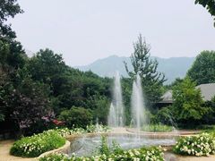 -燕塞湖鸟语林景区