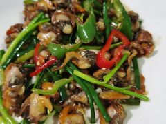 -张家卫·阳江菜·小海鲜(肥婆湾桥店)