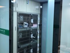 -半岛宠物医院24小时(科华中路店)