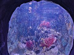 -杭州长乔极地海洋公园