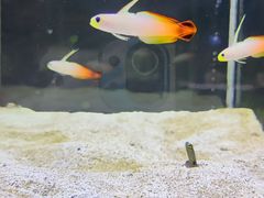 -沈阳海洋探索中心