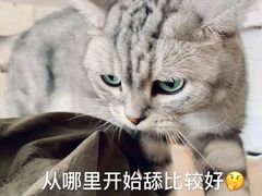 -平行世界·猫咖(首经贸店)