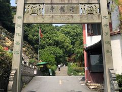 -十八棵（老龙井）御茶园(老龙井店)