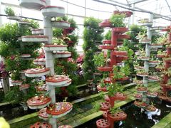 -广东茂名森林公园