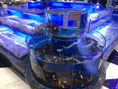 大堂-新海渔港·胶东海鲜家常菜·家宴(奥体中心店)
