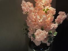 -番茄按摩·影院足道·柔足SPA