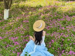 -白鹭湾湿地公园