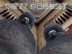 -何记酿皮店(西流湾店)
