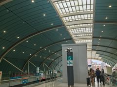 -龙阳路磁悬浮列车总站-停车场