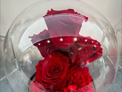 -ROSEONLY诺誓(广州K11店)