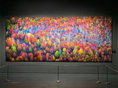 -罗红摄影艺术馆