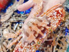 -四道口水产市场