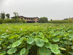 -百翠山居.家飨餐厅
