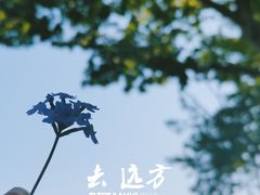 -钟山体育运动公园