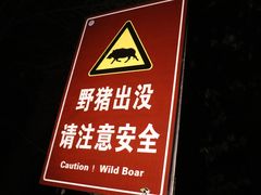 -紫金山山顶公园