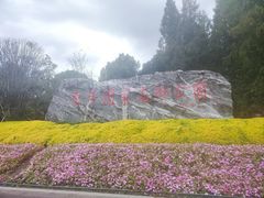 -东平国家森林公园