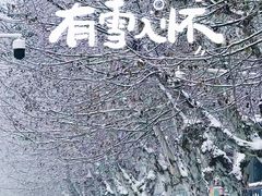 -红鼎豆捞·非遗鲍皇汤火锅(宝丰路店)