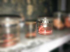 -秃鹫湾·推理大师沉浸式实景演绎推理剧场