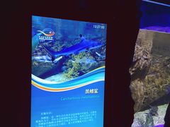 -乌鲁木齐海洋馆
