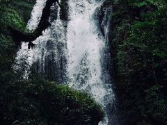 -瓦屋山景区