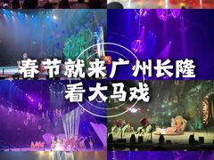 -广州长隆国际大马戏