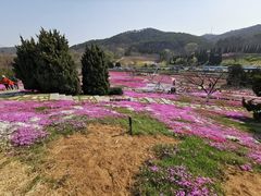 -棒棰岛宾馆景区