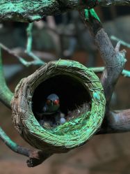 -Zoolung Zoolung动物主题公园(海信广场店)