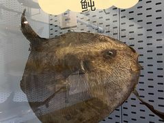 -浙江自然博物院(杭州馆)
