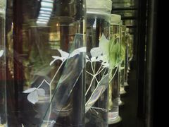 -广东中医药博物馆