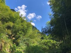 -东白山